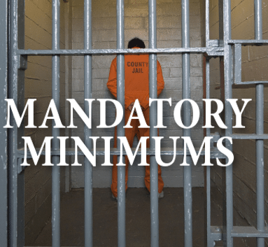 sentences mandatory minimum criminalization over legislatures criminal served penalties assigning justice fixed having